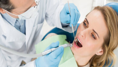 Nerovet AI Dentistry